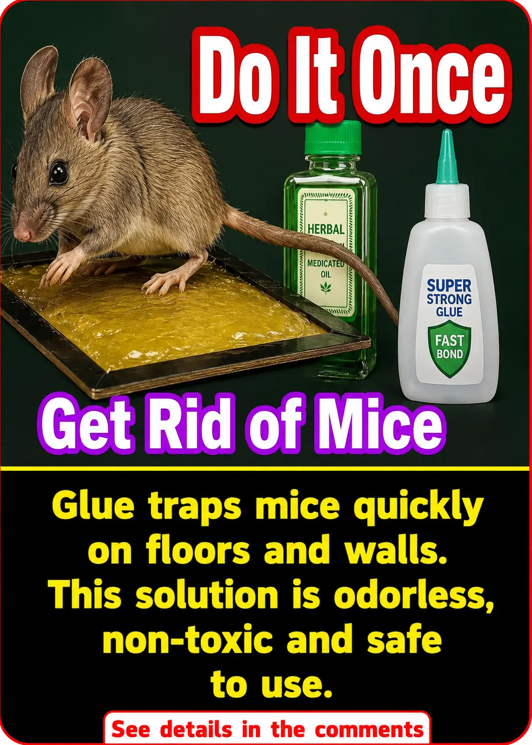 Mice are scurrying around on the ceiling? Try this method and they'll be gone in no time, and it's completely free.
