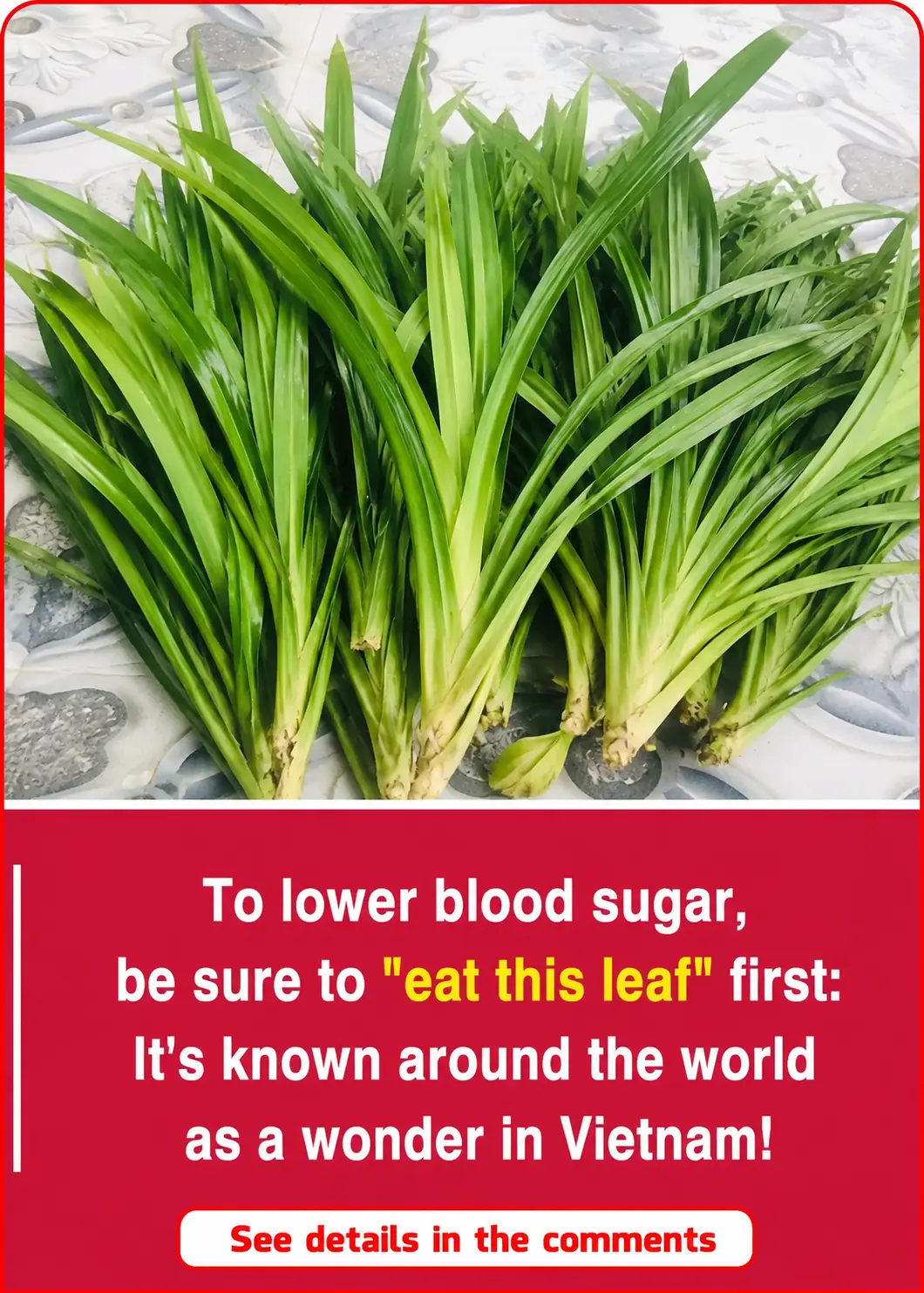 This plant has a distinctive aroma: It serves as both a spice and a 'miracle cure' for health.