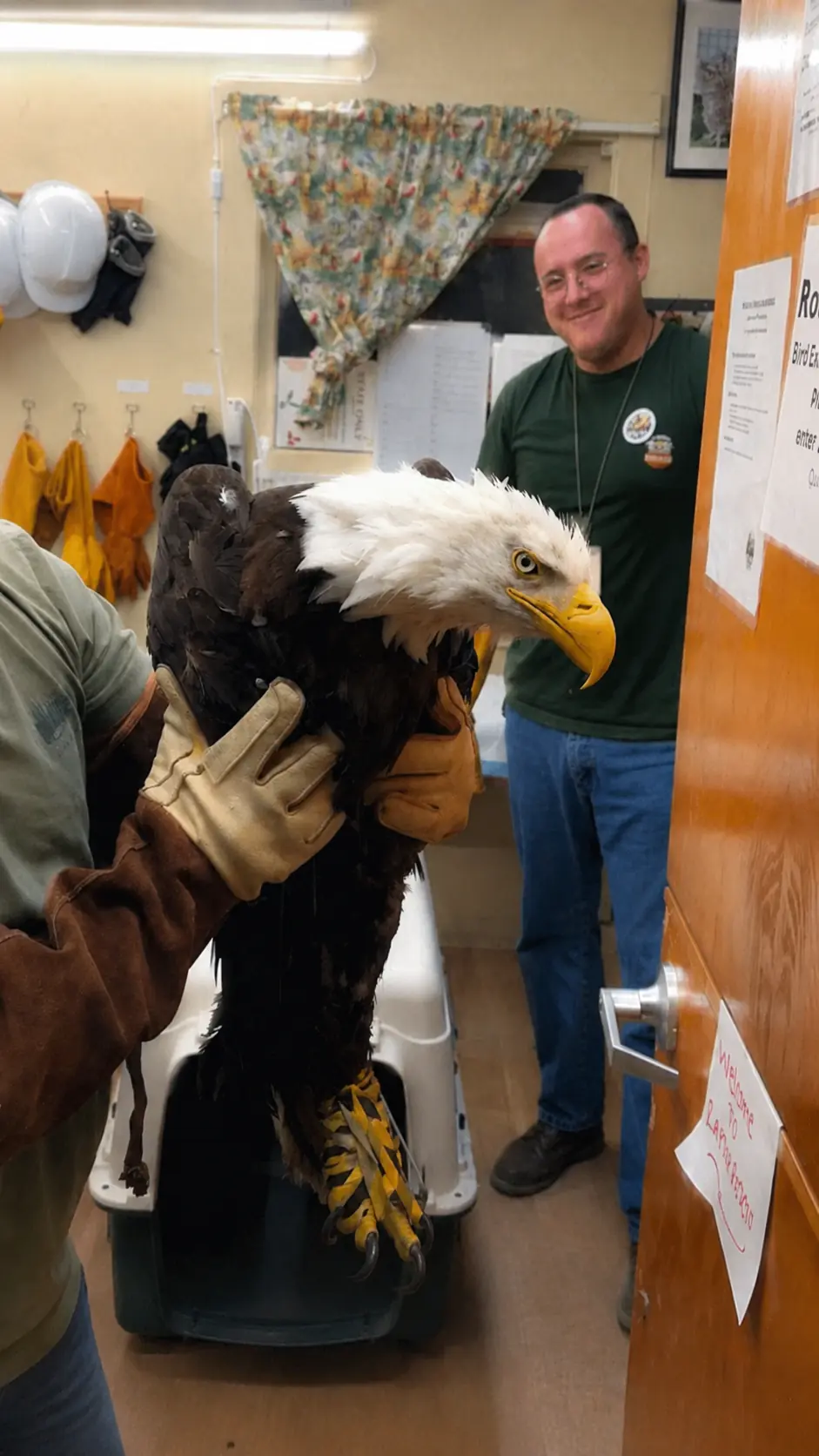 NEW UPDATE: Jackie the eagle endures 'difficult' 24 hours