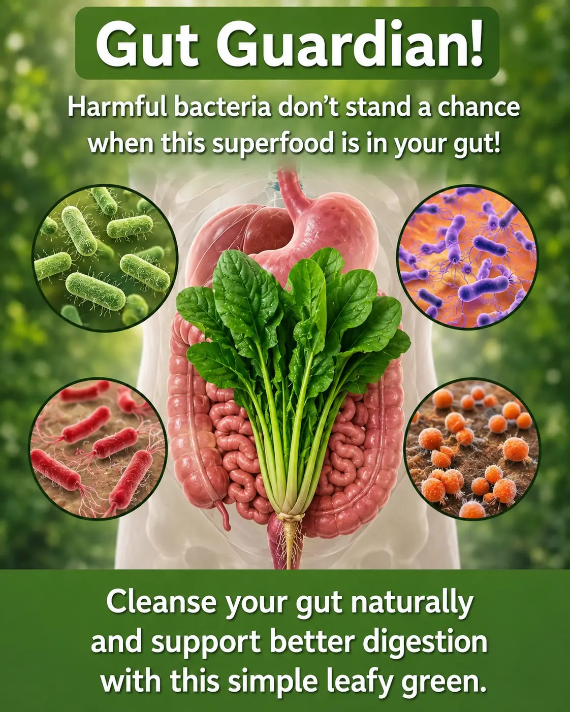 Spinach for Intestinal Cleansing: Natural Ways to Support Digestive Health