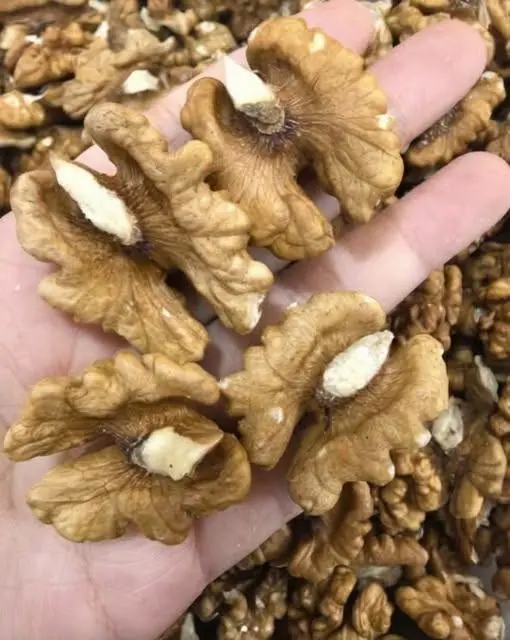 Proven Health Benefits of Walnuts, How Many to Eat, and More (Science Based)