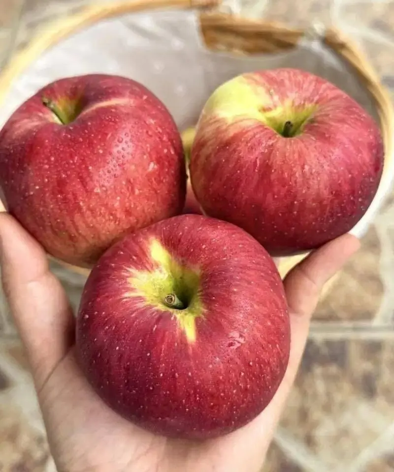 Doctors Reveal That Eating Apples Causes Remarkable Health Benefits