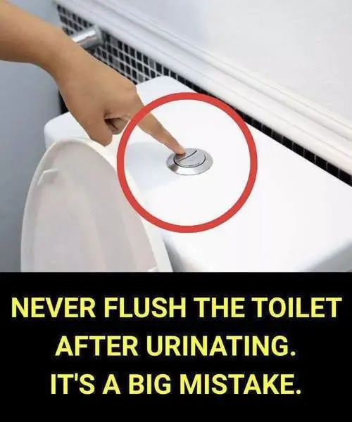Why Its So Important Not To Flush The Toilet After Every Trip