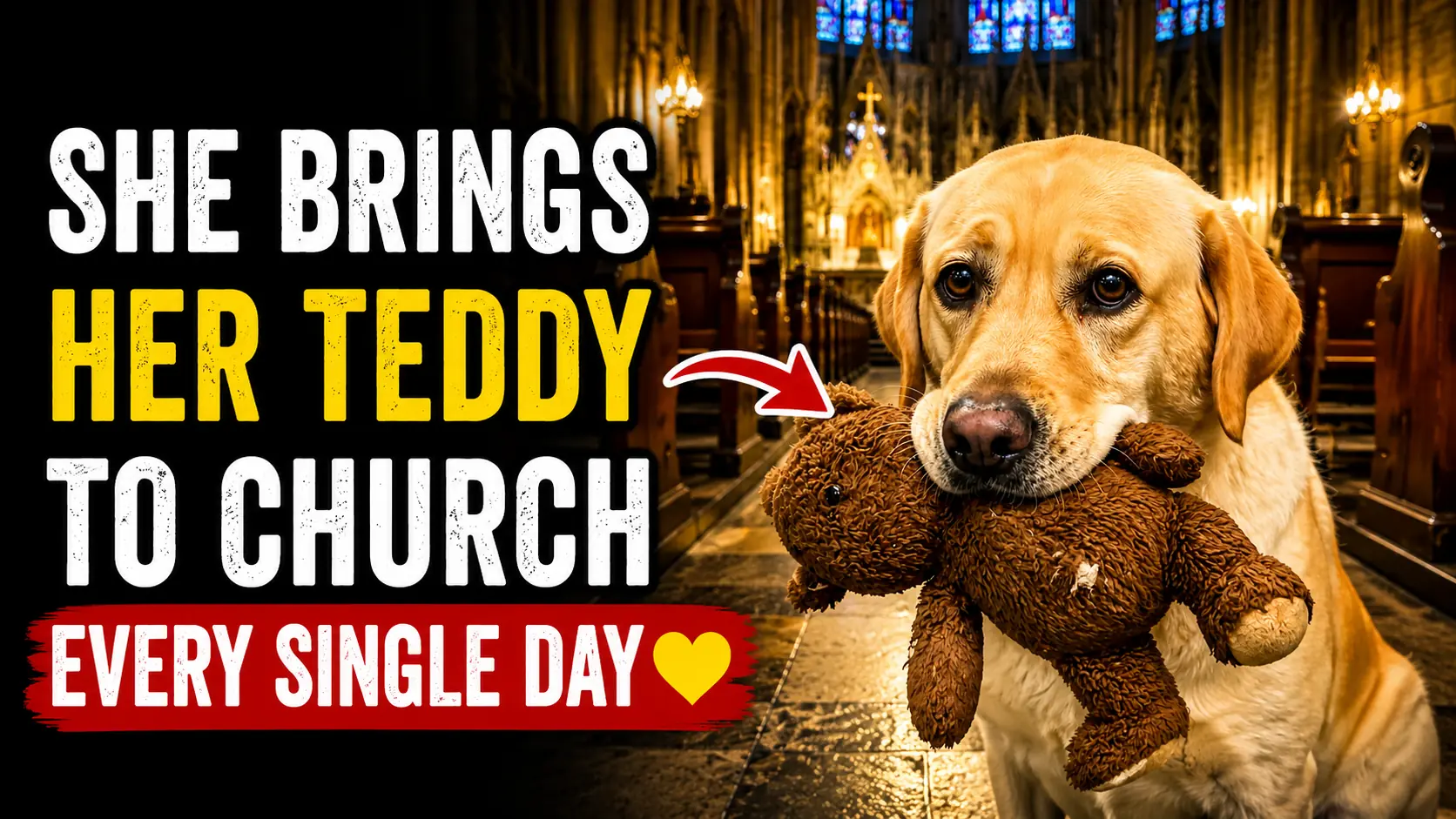 Teddy Found Refuge at a Church With Only His Stuffed Bear