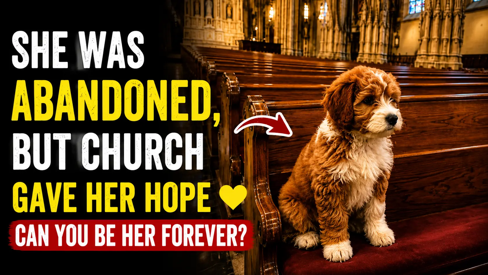 Benny Found a Safe Place to Wait Inside a Neighborhood Church