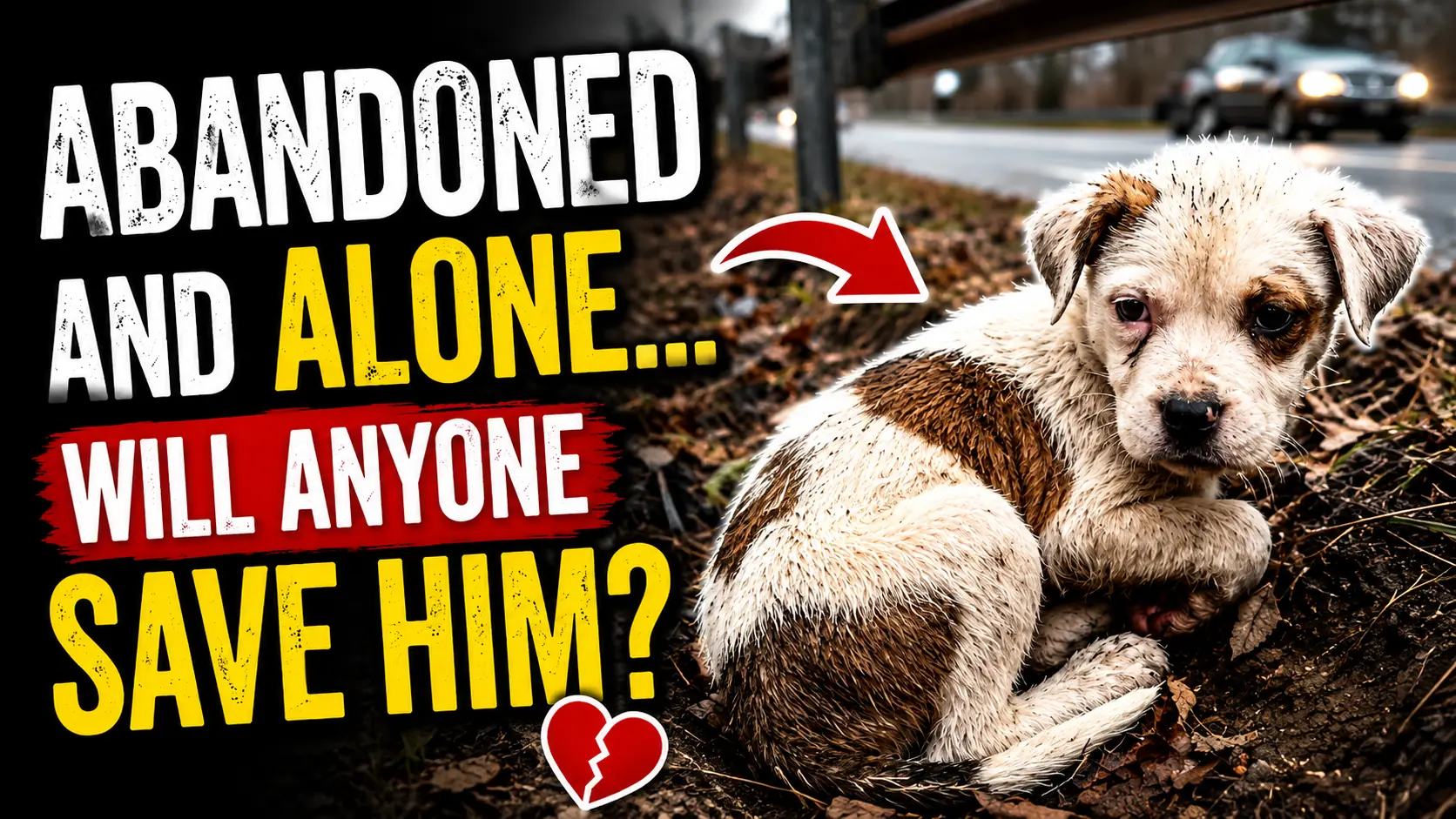 Oliver’s Recovery After Being Found Alone Beside the Road