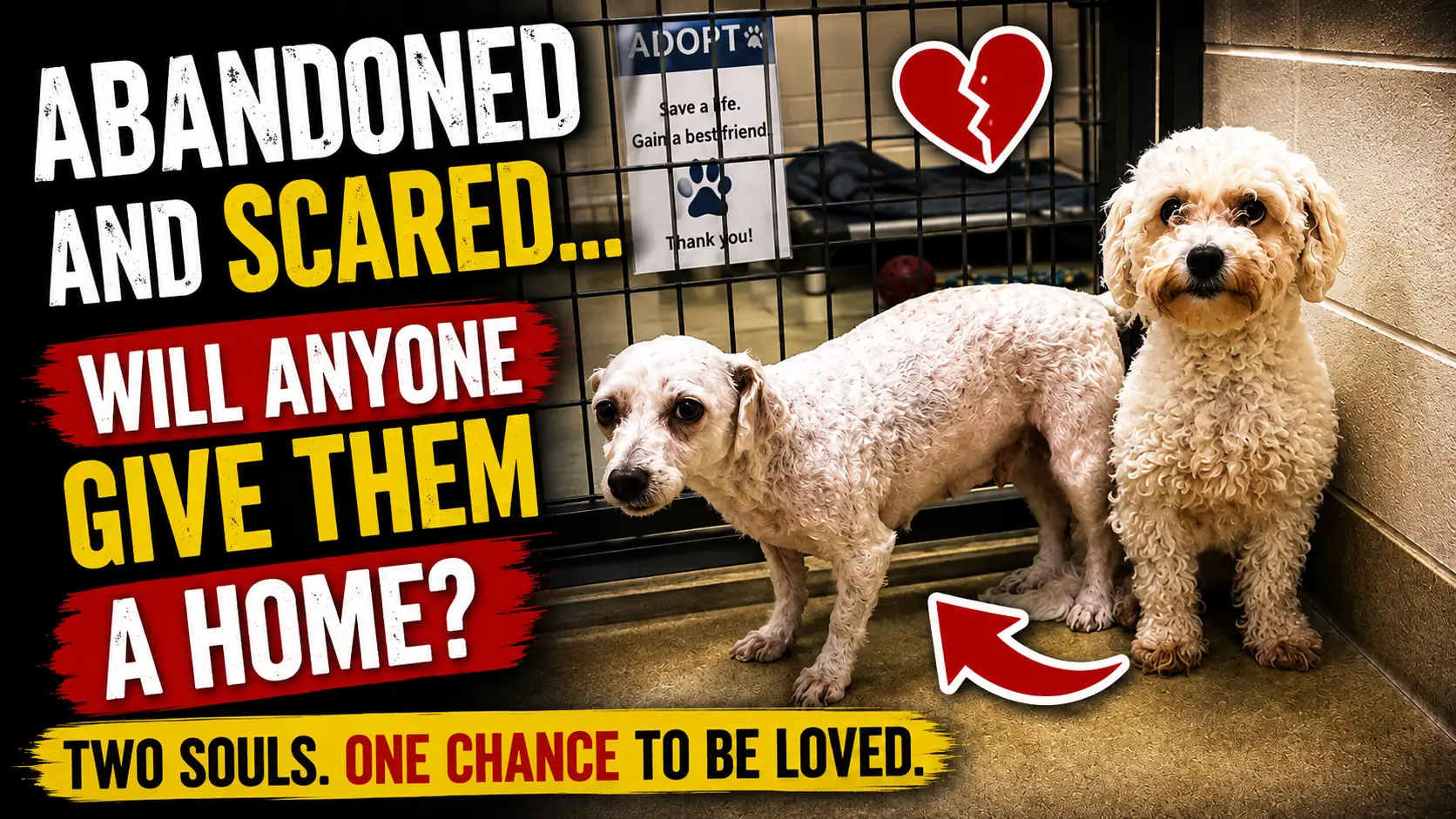 Molly and Finn Are Learning to Trust Again After a Difficult Past
