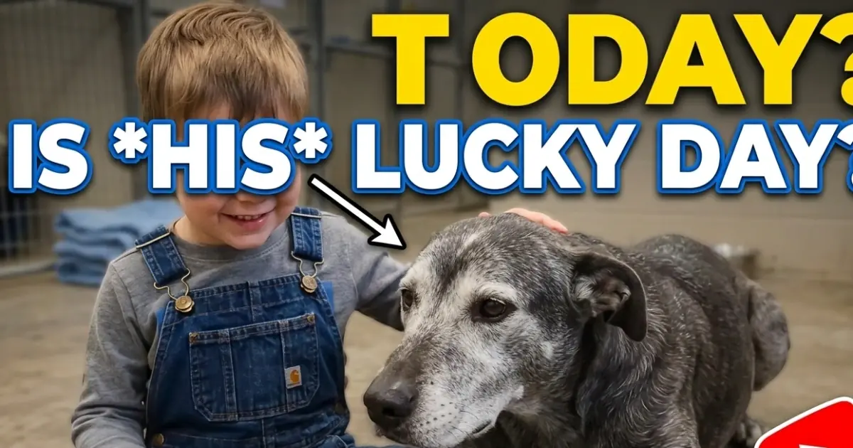 Walter Finds a Family After Being Abandoned in His Senior Years