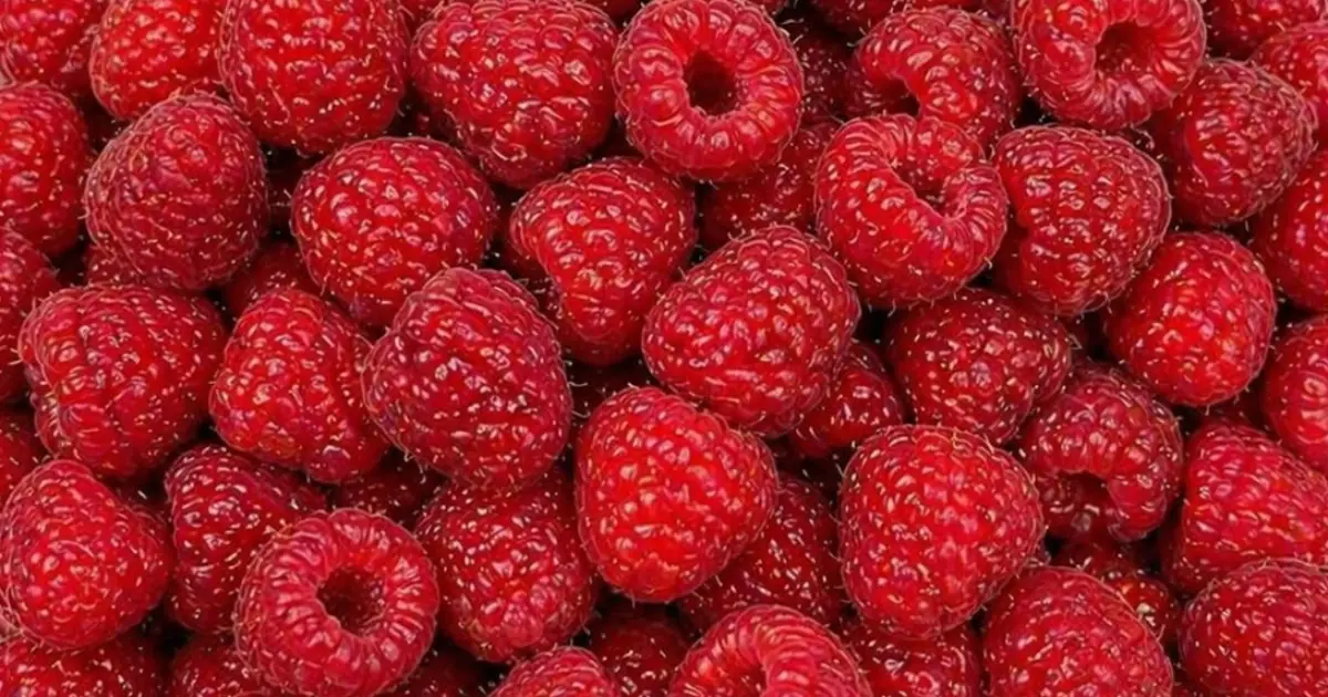 Raspberries: Nutrition Facts, Calories, Carbs, Proven Health Benefits (Science Based)
