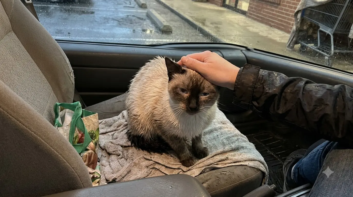 # Luna's Recovery After Being Found Living in an Abandoned Shopping Cart