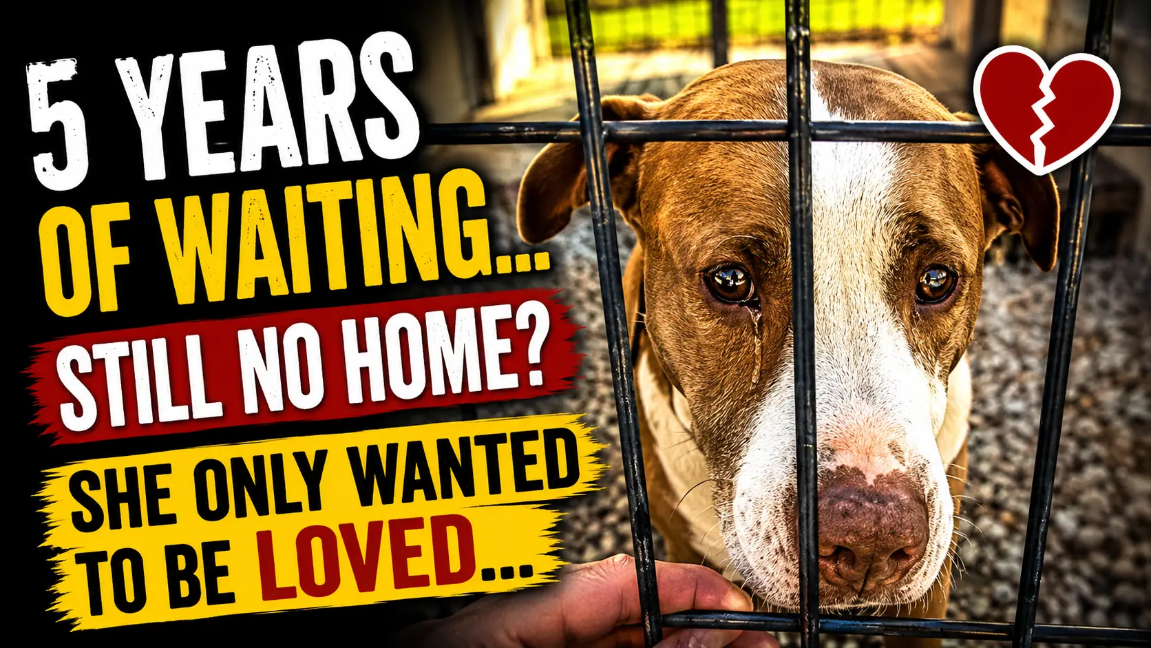 Lisa Is Blind and Still Waiting for a Home After Years in Boarding