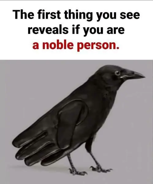 Crow or Glove