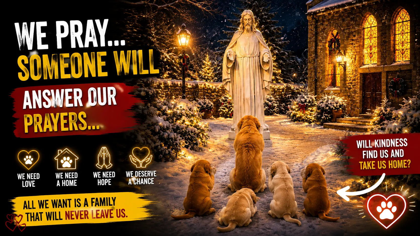 Rosie and Her Puppies Found Refuge at a Church After Being Abandoned