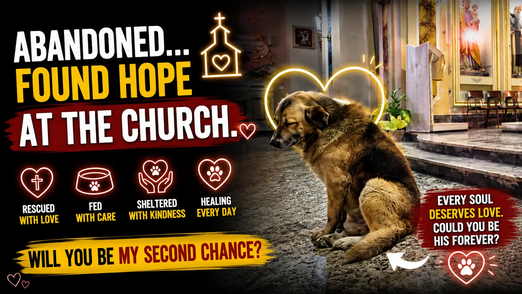 He Was Abandoned and Found His Way to a Church - Now He Is Praying for a Loving Forever Home