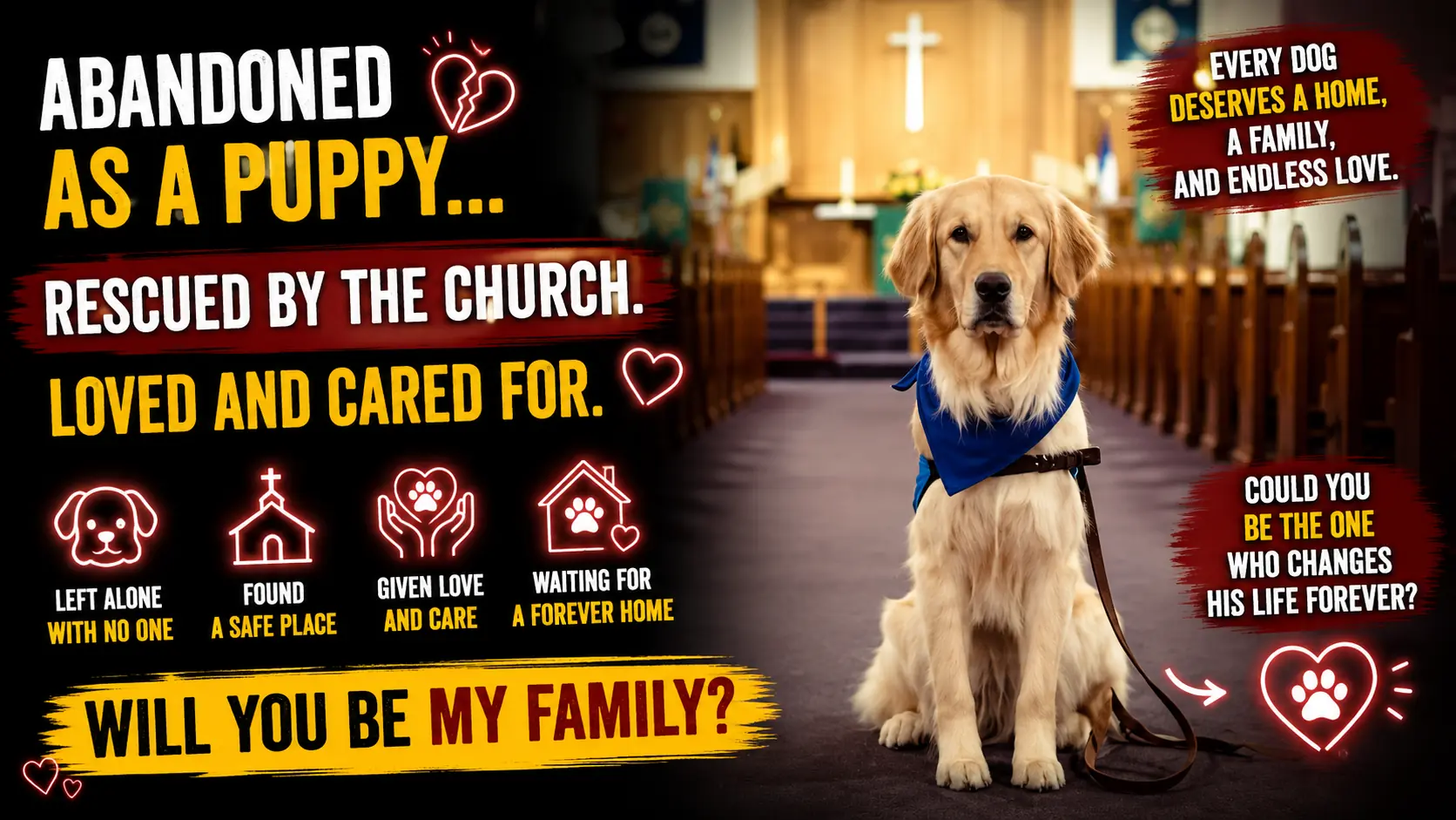 From an Abandoned Puppy to a Beloved Church Companion - He Is Praying for a Loving Forever Home