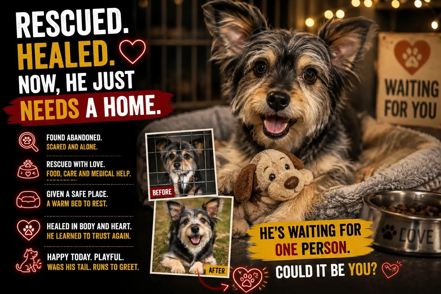 He Was Terrified of People — Until a Rescue Team Gave Him a Reason to Trust Again