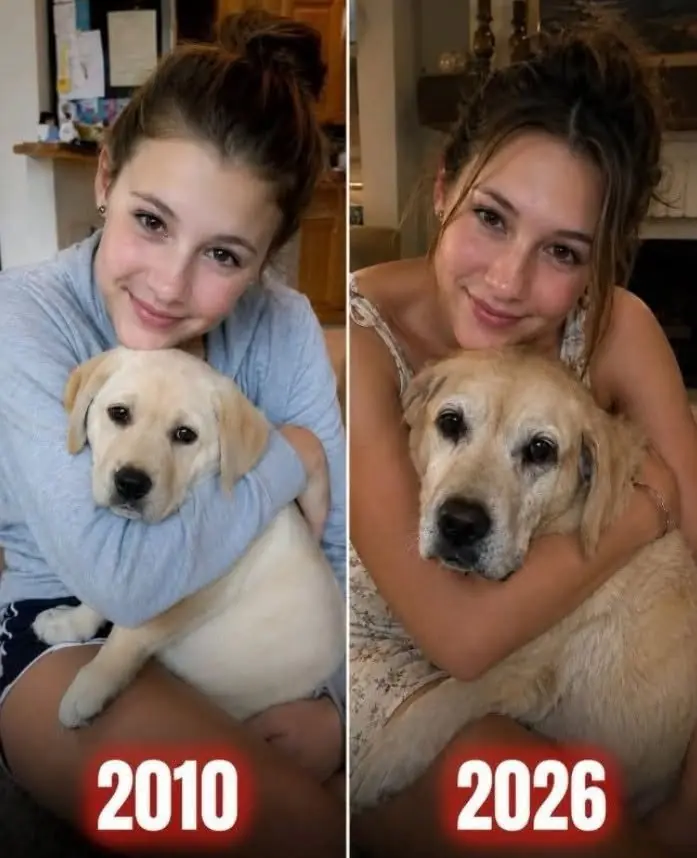 My MIL Tried to Get Rid of My Childhood Dog