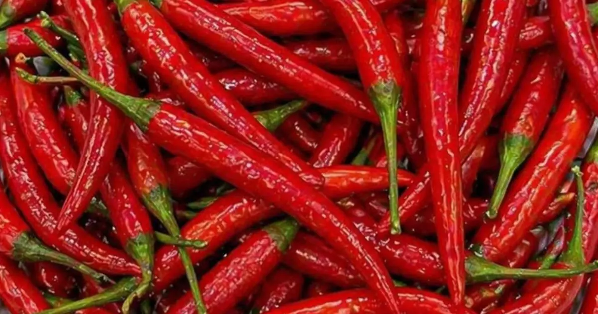 Scientifically Proven Health Benefits of Cayenne Pepper