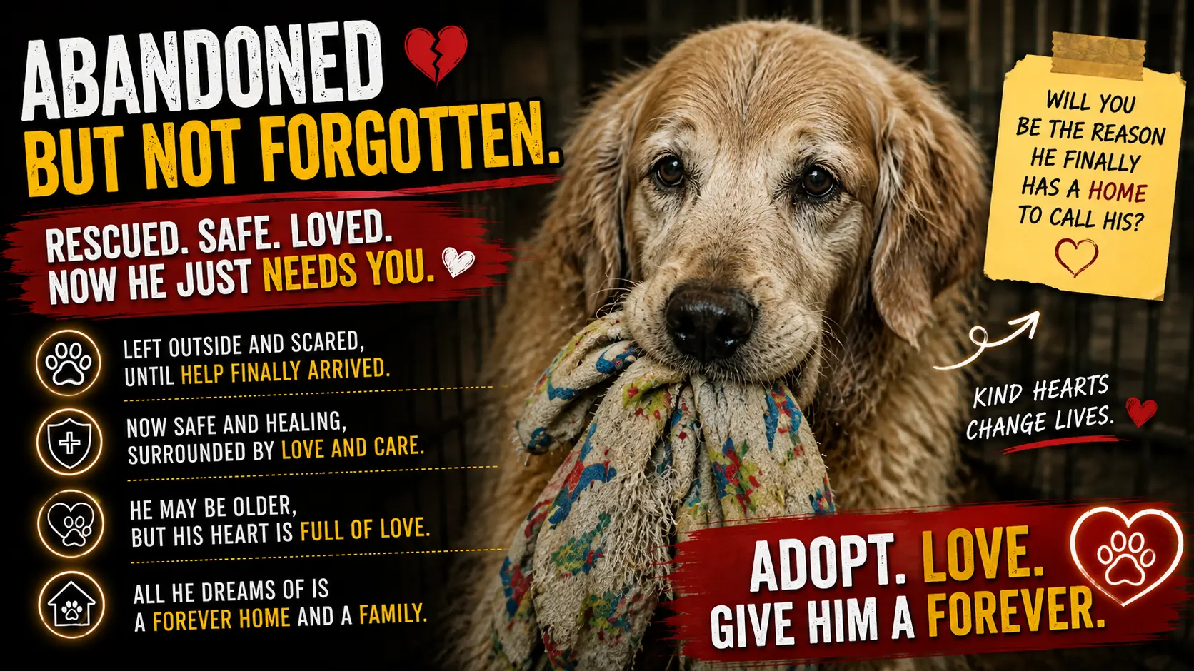 He Tried to Chase the Car That Abandoned Him — But His Old Legs Could No Longer Run