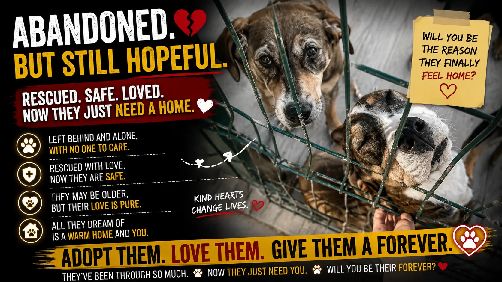 Henry and Molly Grew Old Together — Now They Are Waiting for One Home to Share