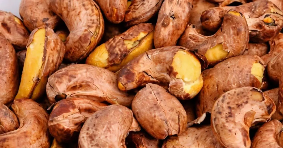 Cashew Nuts: Are They Good For You, Nutrition Facts, Benefits and More (Research Based)
