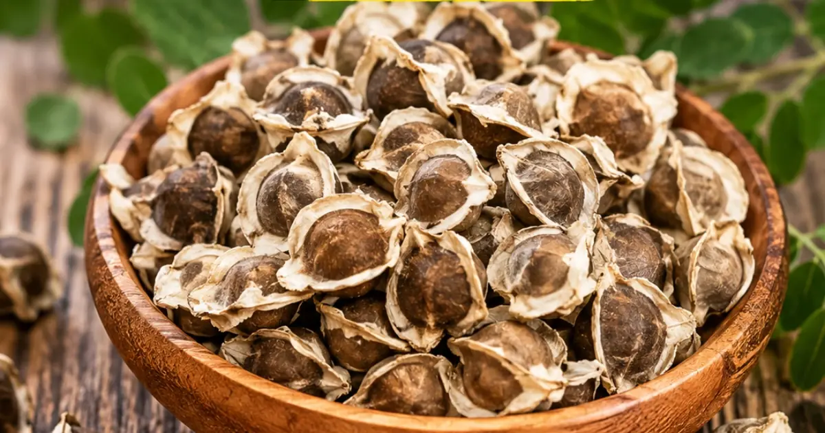 The Unbelievable Health Benefits of Moringa Seeds (Evidence Based)
