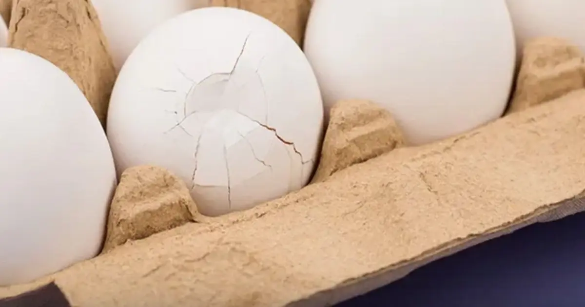 Is It Safe To Eat an Egg With a Crack In it?