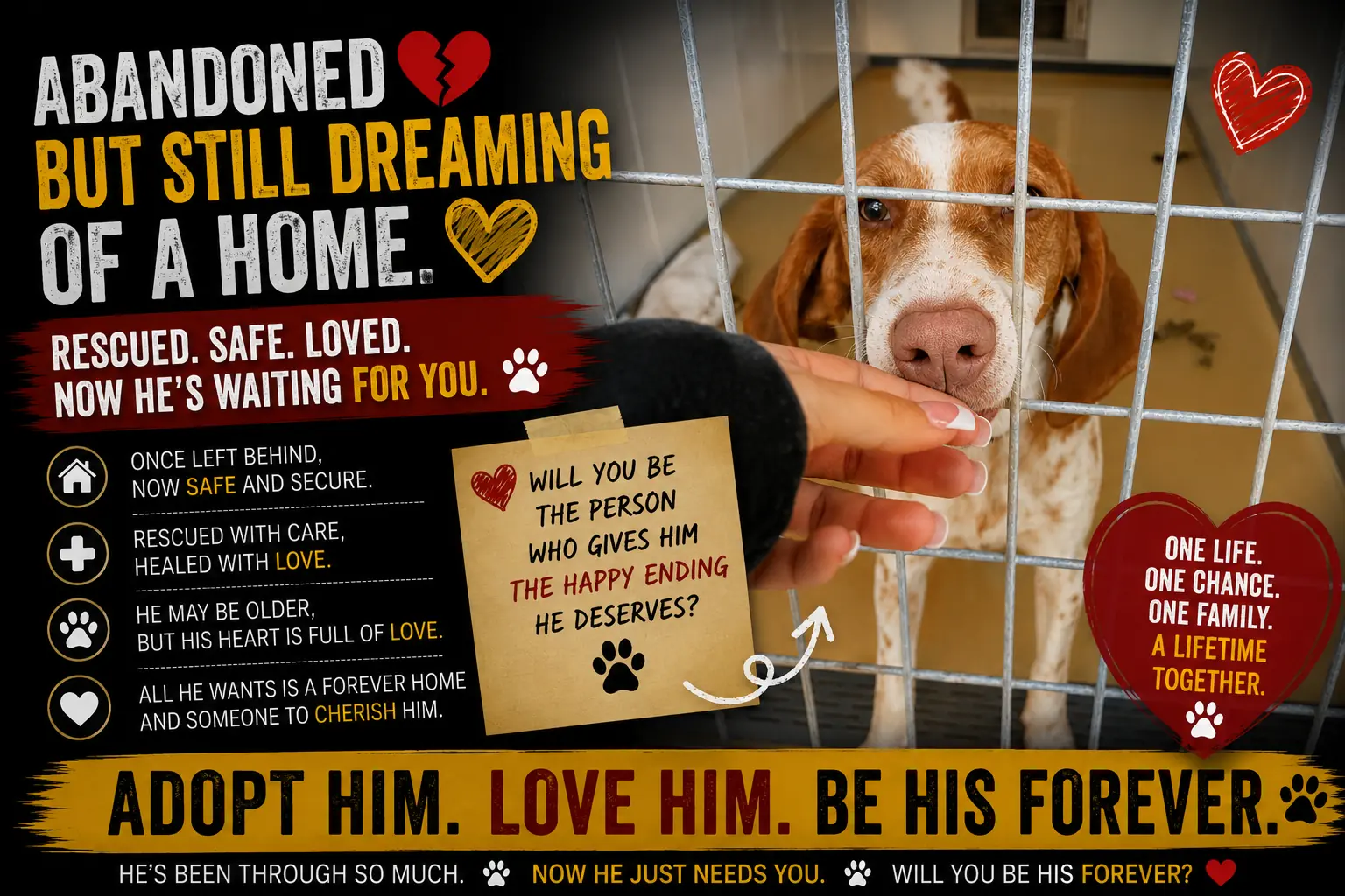This Old Dog Didn't Ask for Much — He Just Wanted One Last Loving Hug