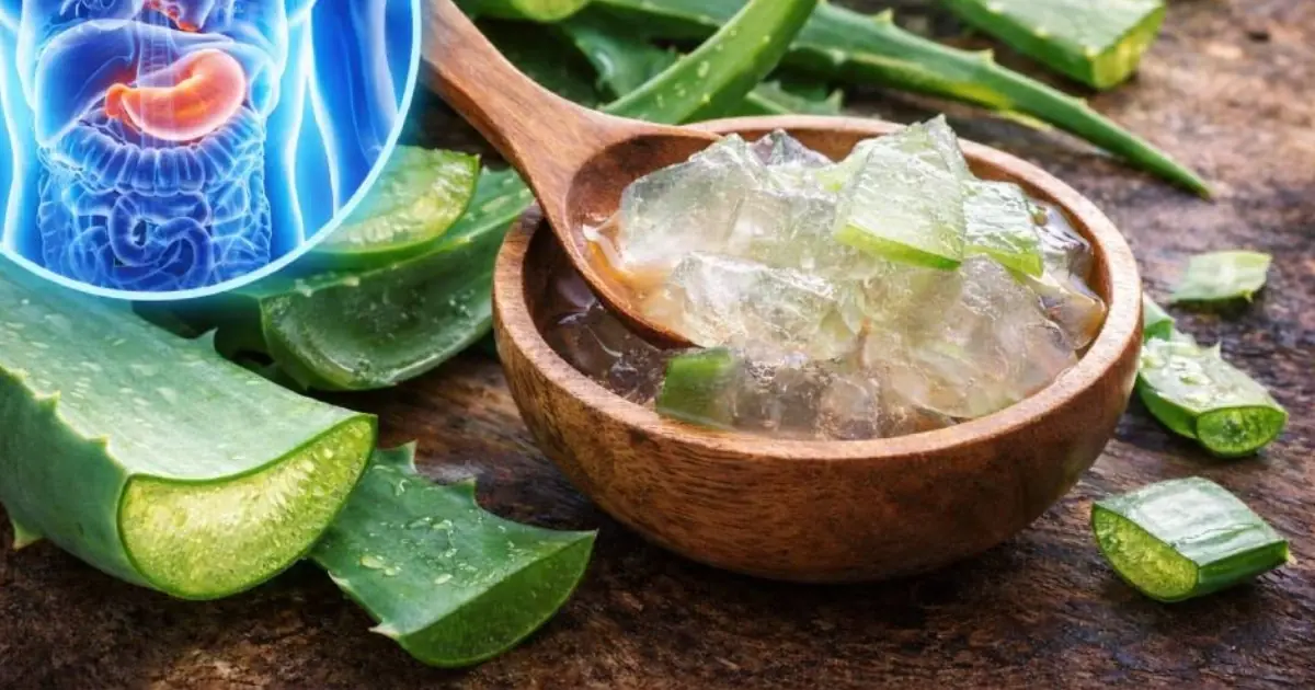 Proven Benefits of Using Aloe Vera Gel on Your Face and Skin