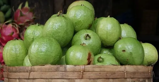 The Impressive Health Benefits of Guava Fruit and Leaves & How to Eat Guava (Evidence Based)