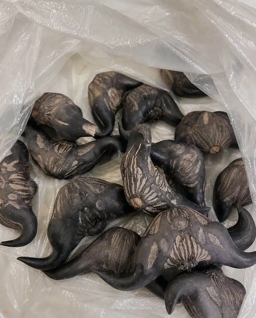 My Neighbor Gave Me These Strange Fruits - Does Anyone Know What They Are?