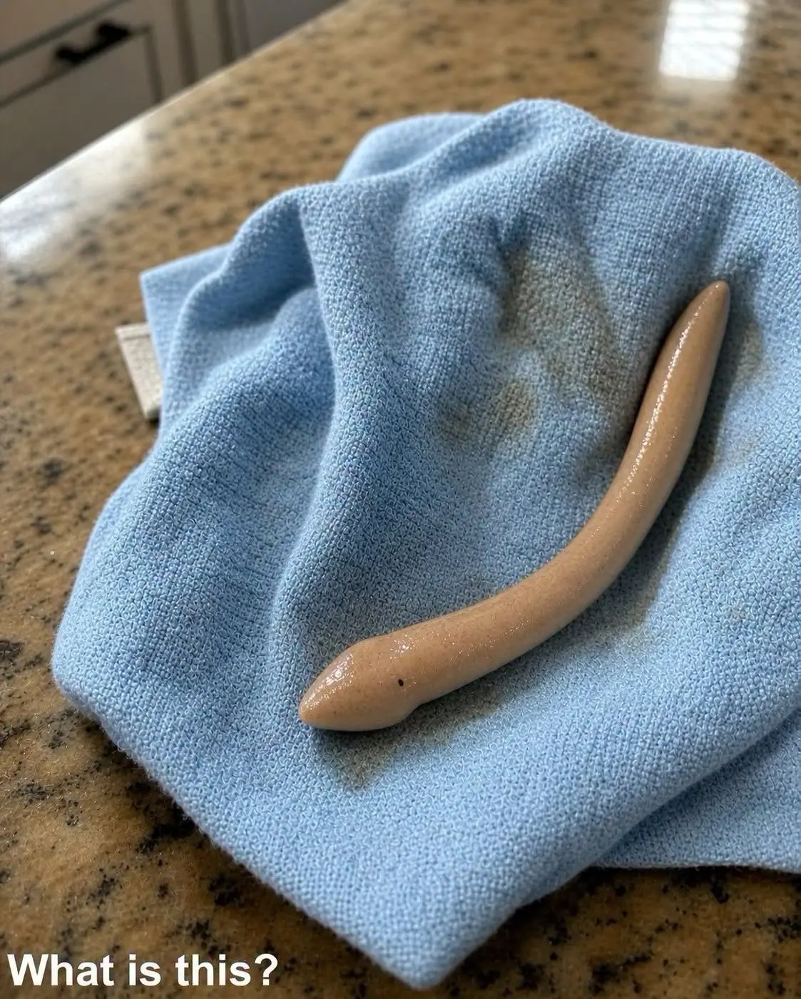 This evening, I went into my girlfriend’s bathroom and found this on the floor
