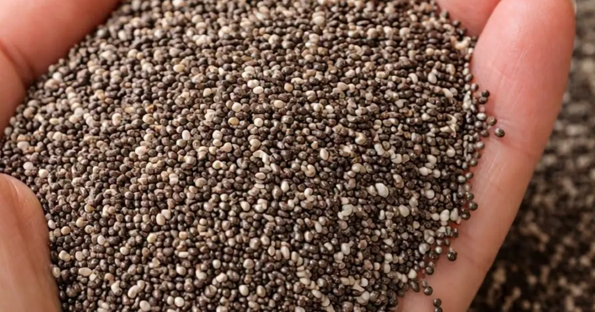 Chia Seeds: Health Benefits & Nutrition Facts Based on Science