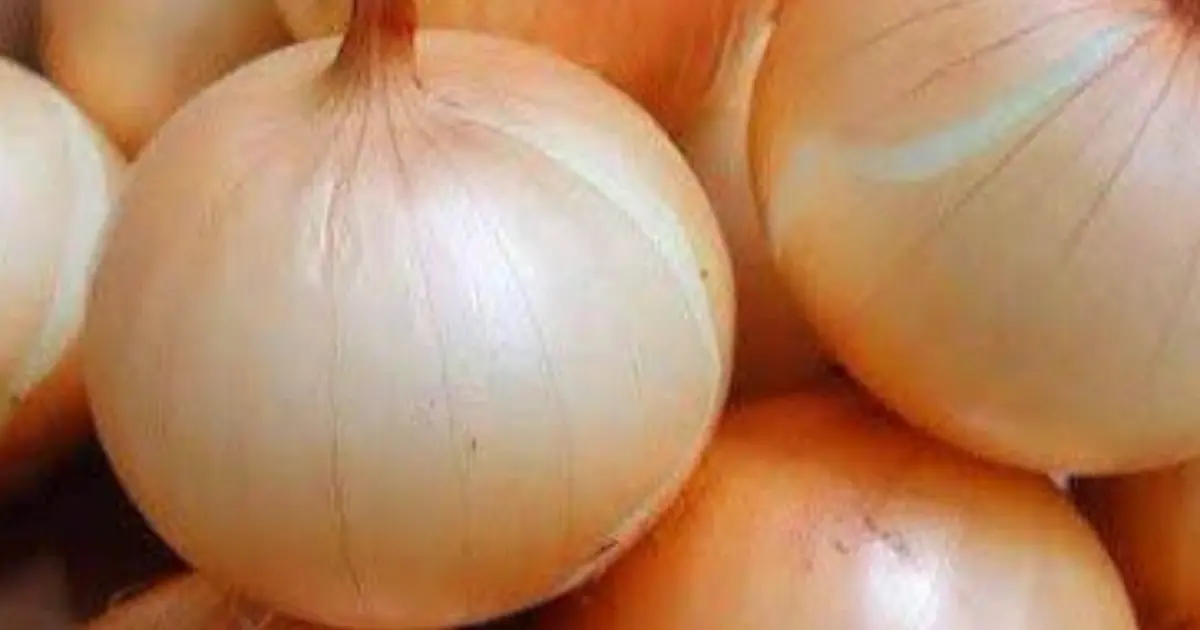 Evidence Based Benefits of Onions Including Nutrition Facts (Science Based)