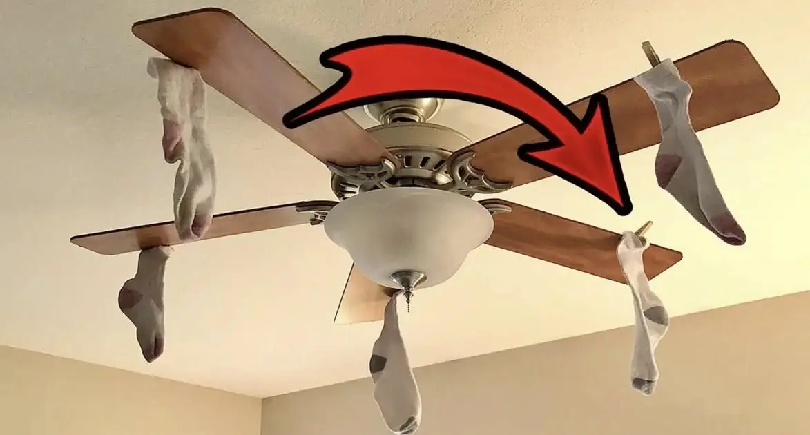 Why You Should Put Socks on Your Ceiling Fan Immediately