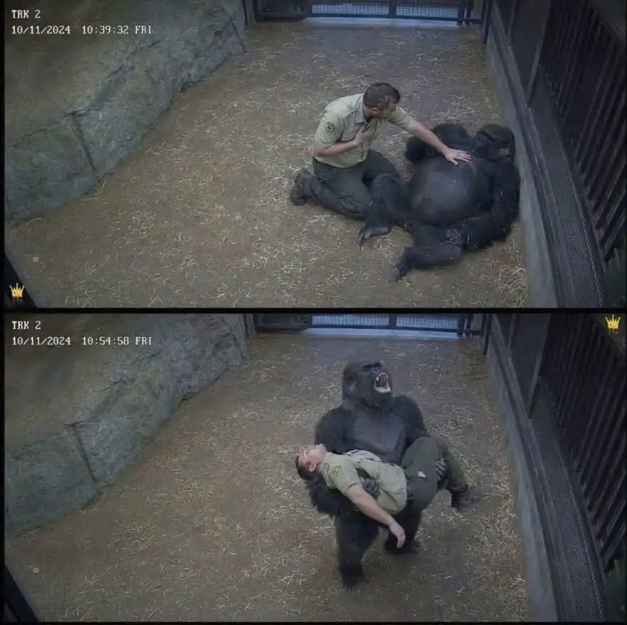 How a Beloved Animal Helped Save His Caretaker's Life