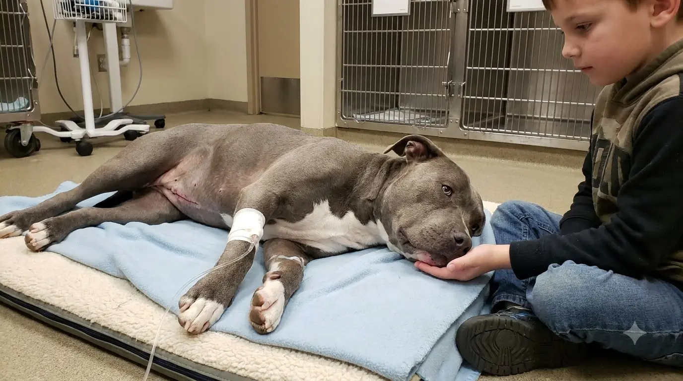 She Can Barely Lift Her Head After Surgery, but She Still Uses the Last of Her Strength to Reach the Little Boy’s Hand