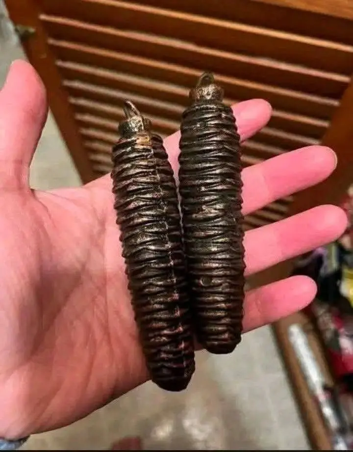 No, these are not Christmas decorations. My girlfriend is searching the house where her grandmother and her aunt have lived…