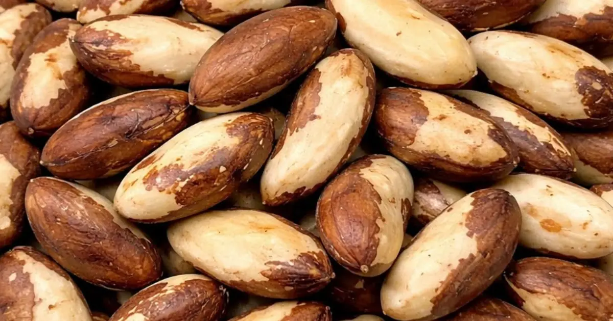 Brazil Nuts: Proven Benefits, How Many to Eat Per Day, Nutrition Facts, Calories