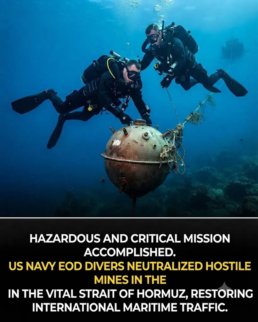 The Silent War Beneath the Strait of Hormuz