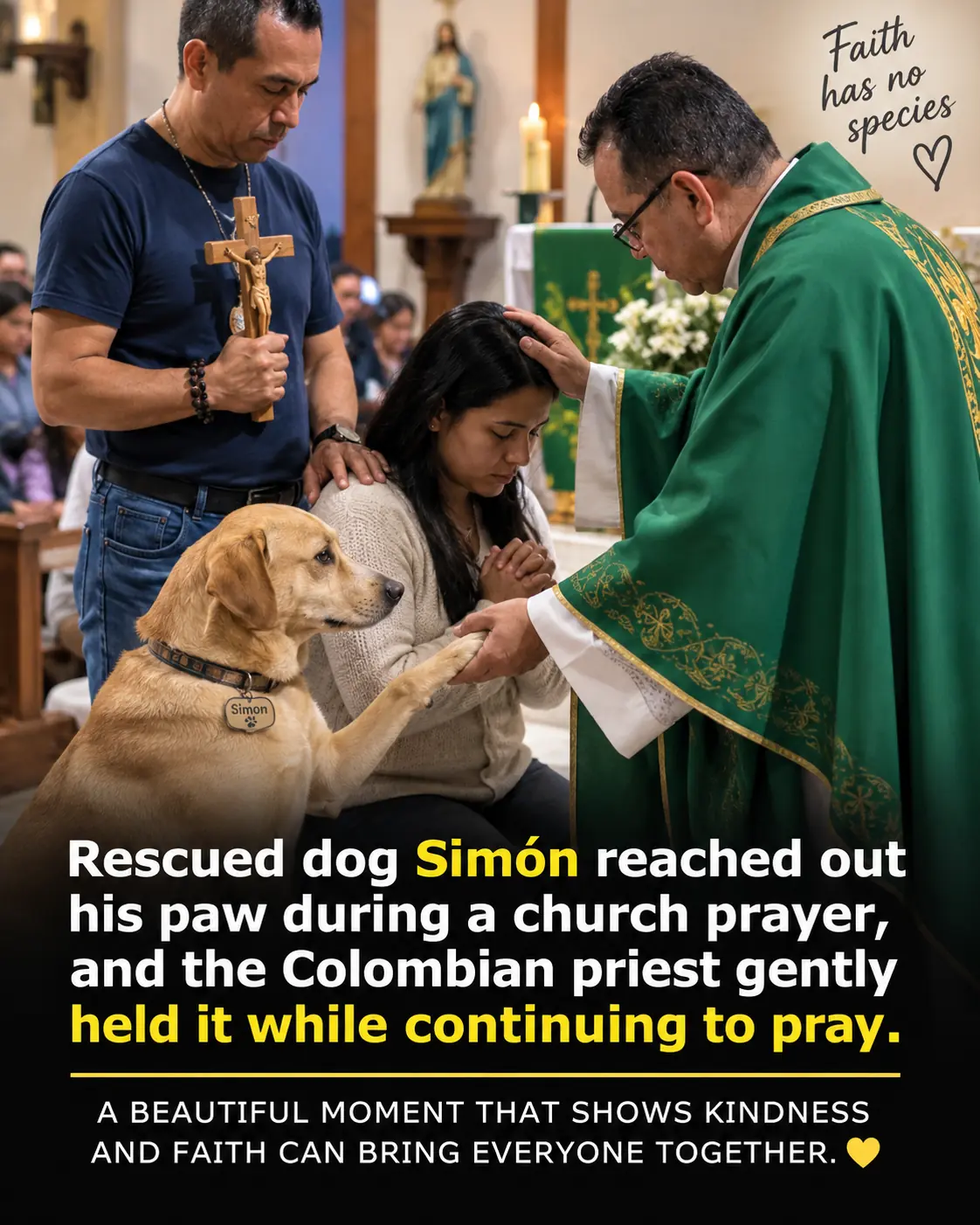 During Prayer, a Rescued Dog Reached Out His Paw—And the Priest Gently Took It