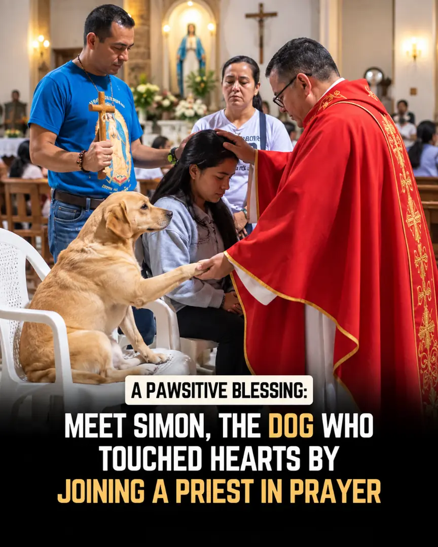 **Meet Simon: The Faithful Rescue Dog Who Never Misses Mass and Prays Beside His Priest ❤️**