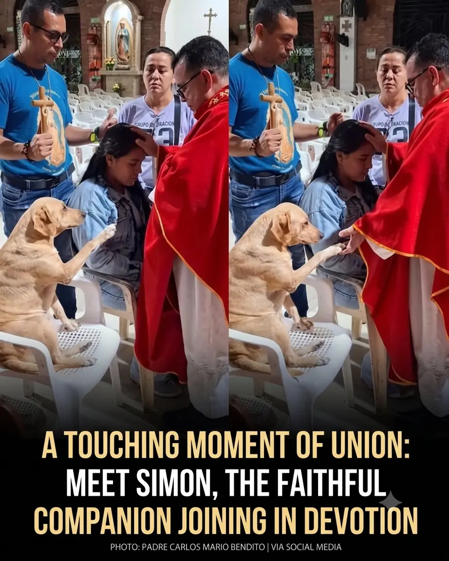Faith, Compassion, and Rescue: The Story of Simón and Luna at Parroquia Santo Domingo Savio