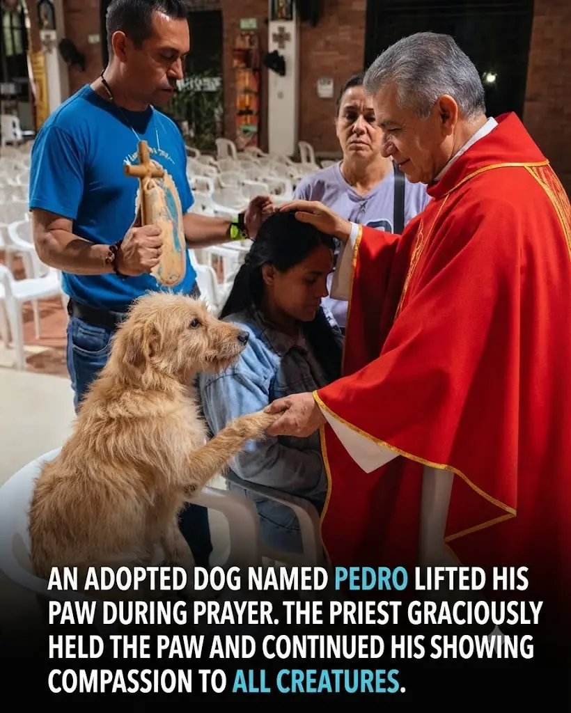 The Dog Who Reached Out His Paw During Prayer