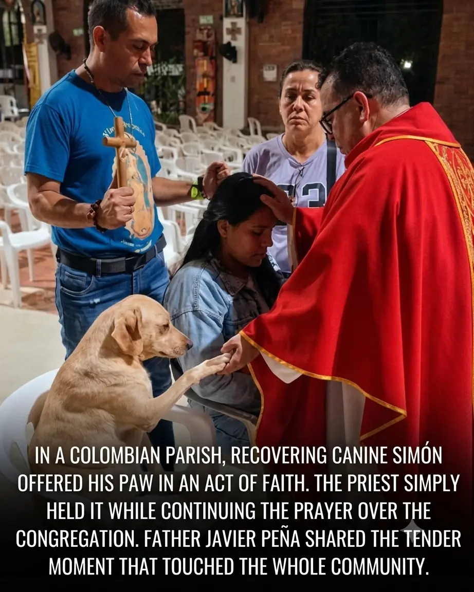 The Paw That Blessed the Altar: How a Rescued Dog and a Colombian Priest Taught the World About Compassion