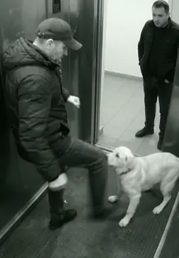 The part security staff replayed wasn’t the kick. It was the few seconds afterward.