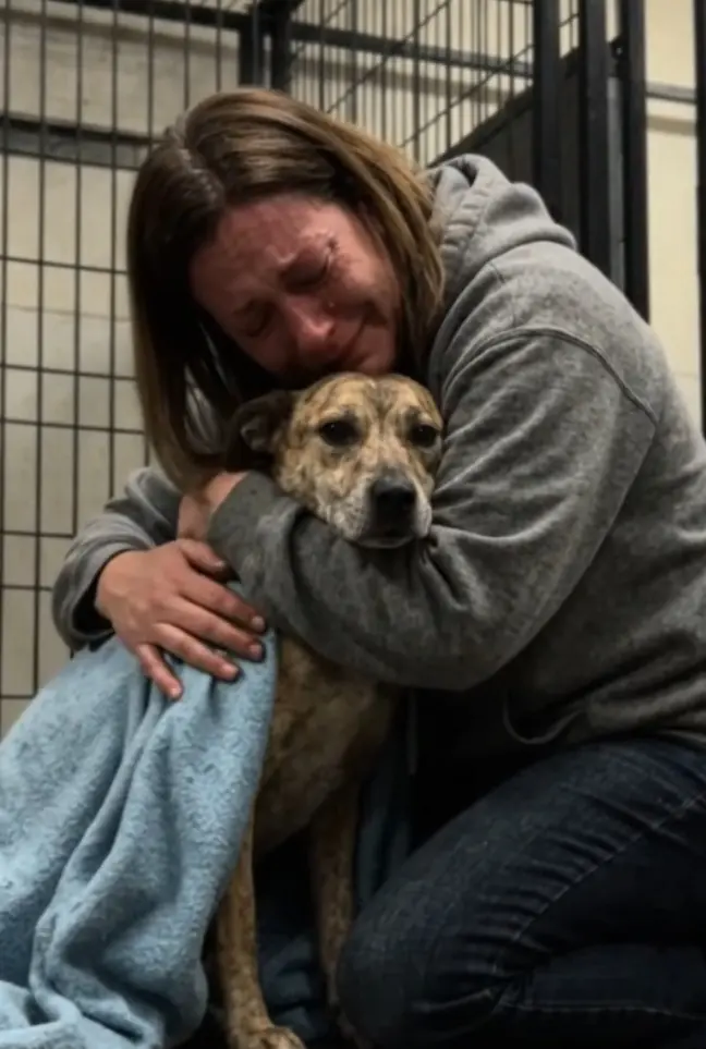 For fourteen days, Sene kept asking the shelter for “just one more day” for the dog in kennel 2. But he died 5.PM to day.