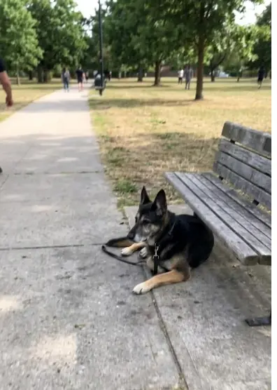 For eight years, Brush was trained to find people who disappeared. Then, after retirement, he became the one nobody could find.