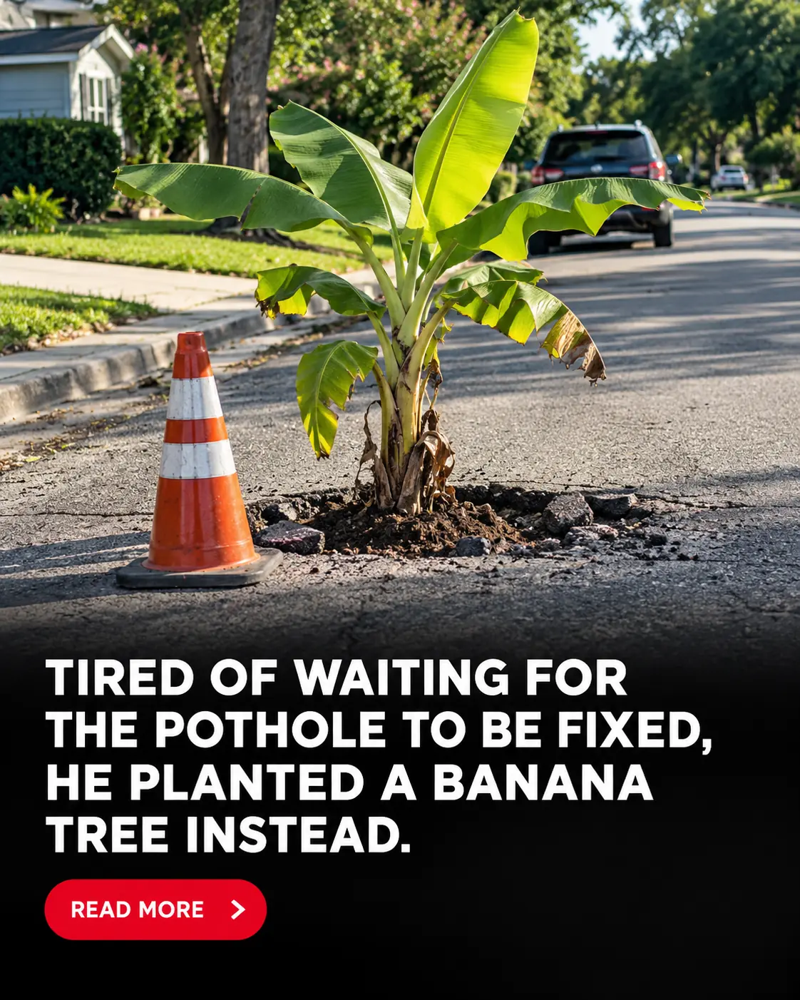 Fed-Up Jacksonville Residents Plant a Banana Tree in a Massive Pothole to Get City Officials’ Attention