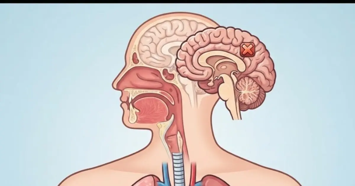Vaping was marketed as the safe alternative to cigarettes — and research now shows it may be causing serious damage to lungs, arteries, and brain